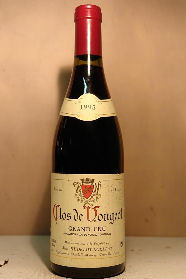 Alain Hudelot-Noellat - Clos de Vougeot 'Grand Cru' 1995
