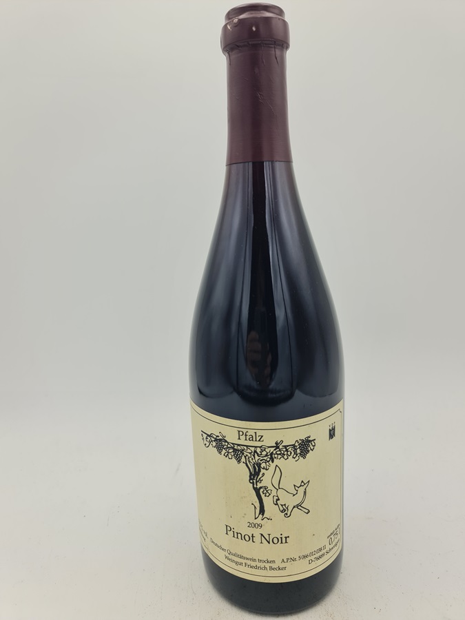 Weingut Friedrich Becker - Pinot Noir 2009